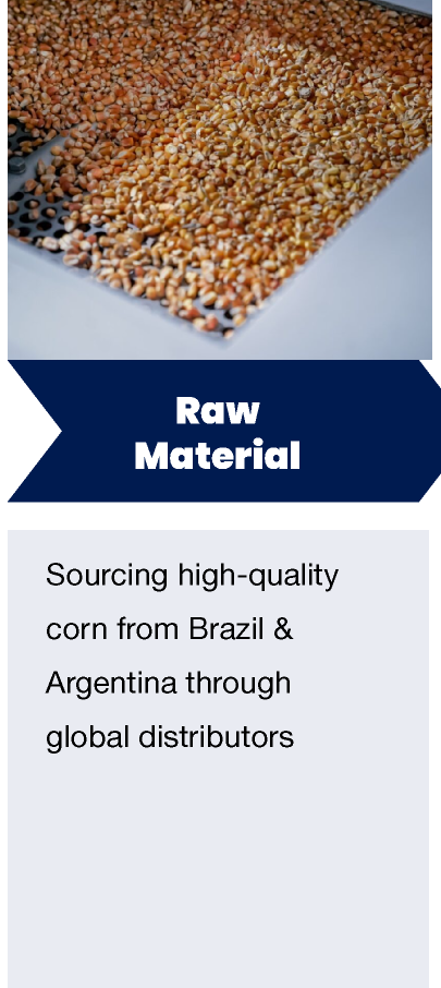 Corn-Plant-Overview_12