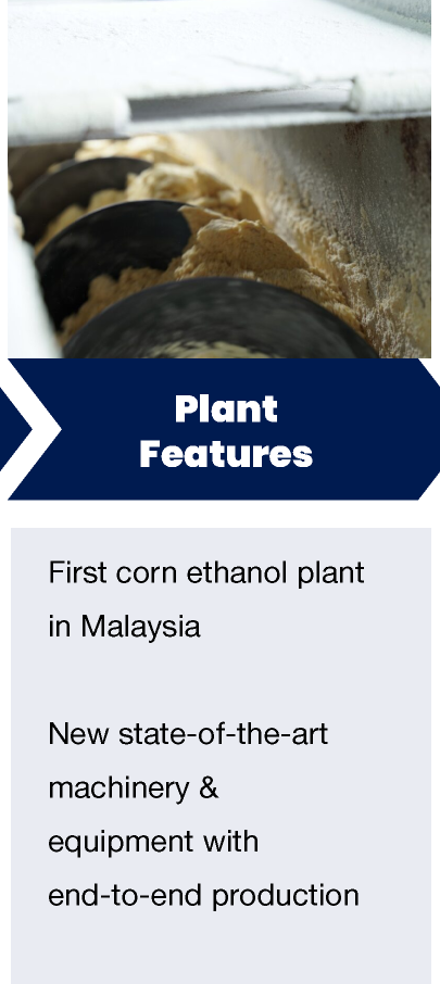 Corn-Plant-Overview_13