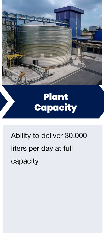 Corn-Plant-Overview_14