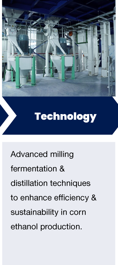 Corn-Plant-Overview_15