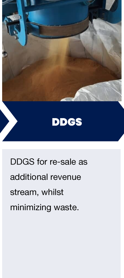 Corn-Plant-Overview_16