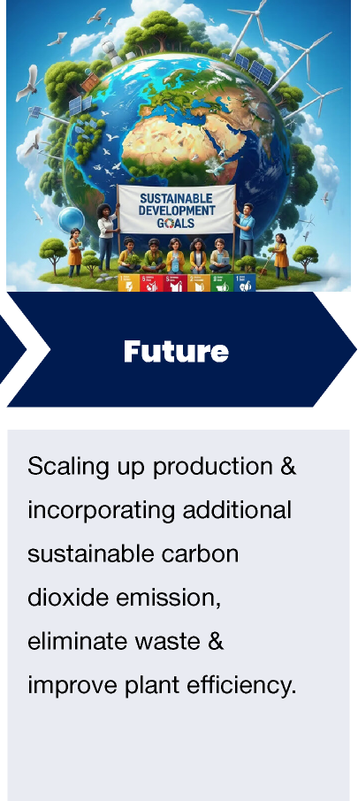 Corn-Plant-Overview_17